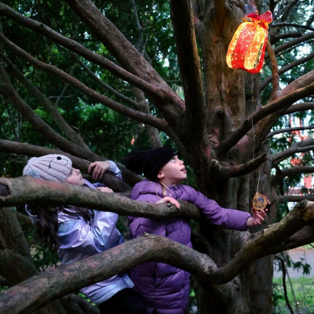 Outdoor Nature Play